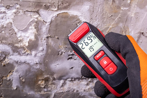 Best Certified Mold Removal  in Locust Valley, NY