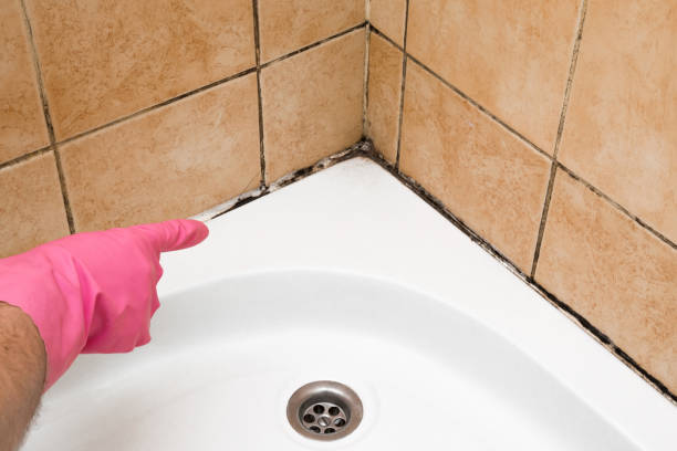 Best Office Mold Removal Services  in Locust Valley, NY